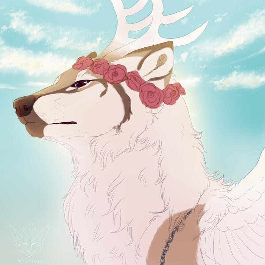 Winged Wolf Commission